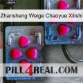 Zhansheng Weige Chaoyue Xilishi 14